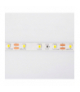 Taśma LED 300 4.8W/m Zimny 6500K 200lm/m 12V IP20 /5m/ E Ecolight EC79101