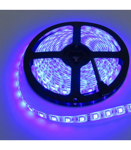 Taśma LED 300 4.8W/m NIEBIESKA 12V IP20 /5m/ Ecolight EC79348