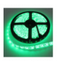 Taśma LED 300 4.8W/m ZIELONA 12V IP63 /5m/ Ecolight EC79343