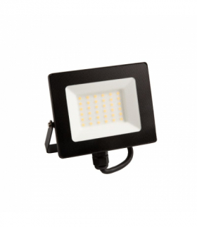 Naświetlacz LED 30W Zimny 6500K 2700lm IP65 Ecolight EC79861