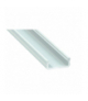 Profil powierzchniowy D surowy 1m Ecolight EC79794