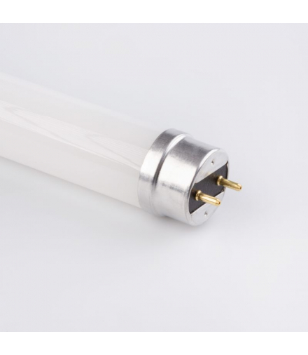 Tuba LED 60cm 9W Zimny 6500K 900lm GLASS Ecolight EC79536
