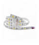 Taśma LED 12V, Samsung chipset 5050, 60L/m, 14,4W/m, IP20, RGBW, 5m Orno AD-TL-6493LRGBW