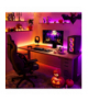 Govee H100E LED Strip Light M1 Extension 1m Przedłużacz paska LED RGBIC+, kompatybilność z Matter GOVEE H100E0D1