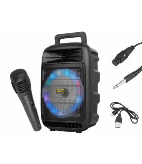 POWER AUDIO ACTIV 6,5 Bluetooth/AUX/FM/SD/USB z mikrofonem. LXKMS3185