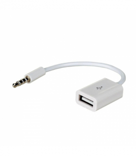 Adapter z kablem AK-AD-24 USB A (f) / mini Jack (m) 15cm TFO Akyga AKKSGZASAKY00065