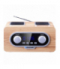 Blaupunkt Przenośny radioodtwarzacz FM/MP3/USB/AUX PP5.2CR TFO RTVAORADBLA00014