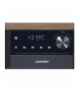 Blaupunkt wieża MS22BT TFO RTVAOMIKBLA00008