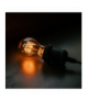 Żarówka LED Filament E27 A60 4W 230V 2000K 250lm SF dymiona Forever Light RTV0100013