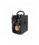 Głośnik Retro A11, 10 W, Bluetooth, radio FM, USB, Micro SD, AUX, pilot, wbudowany akumulator. LXA11BT