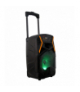 Prime3 system audio z Bluetooth i funkcją karaoke Blaze TFO AKGAOGLOBLA00021