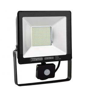 Naświetlacz SMD LED z czujnikiem ruchu 02961 PUMA/S-50 LED 6400K