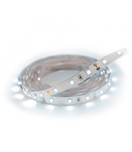 Taśma LED 03027 LATE LED 5m 300 CW