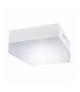Plafoniera SMD LED 03092 ROBIN LED D 24W 4000K