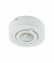 Plafoniera COB LED 03125 IGOR LED C 6W WHITE 4000K