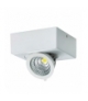 Plafoniera COB LED 03127 IGOR LED D 6W WHITE 4000K