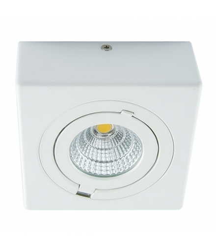 Plafoniera COB LED 03128 IGOR LED D 9W WHITE 4000K