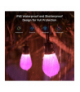 Govee H7020 RGBIC Smart Outdoor String Lights Oświetlenie LED Zewnętrzne, Girlanda RGBICWW, 2.4GHz Wi-Fi, Bluetooth H70203B1