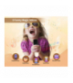 ZESTAW KARAOKE U16 5W z dwoma mikrofonami ,RGB ,USB,TF card,bluetooth LX40451