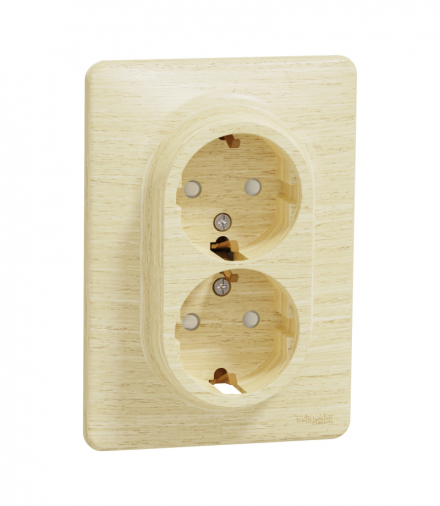 Sedna Design & Elements, Gniazdo 2x2P+PE z przesłonami (monoblok), Elements, brzoza Schneider SDD380221