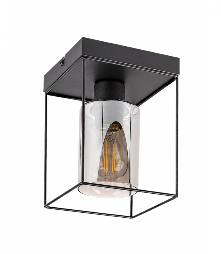 Lampa sufitowa Chadwick E27 1x MAX 25W Rabalux 71031