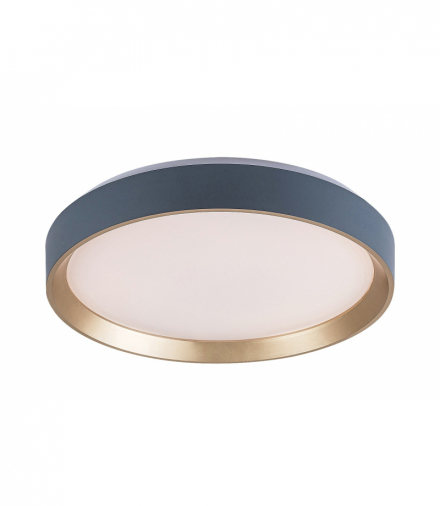 Lampa sufitowa Liatris2 LED 24W 3000K ciepła Rabalux 71185