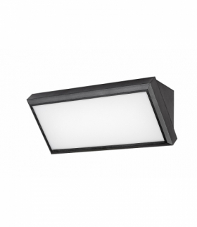 Zewnętrzna lampa ścienna Rapla LED 12W 4000K neutralna Rabalux 7282