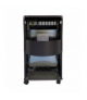 Piecyk gazowy, 4,2 kW Phonix MH-01F