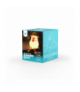 Lampka nocna LED KACZKA NA WAKACJACH FNL-11 Forever Light RTV100565