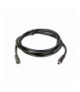 Kabel przedłużający do Fokus 60W - 2m, Eko-Light EKO9765