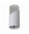 NEO WHITE CHROME DOWNLIGHT 1xGU10, Milagro ML0285