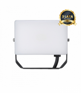 Naświetlacz LED 20W, 5000K, 2000 Lm, Eko-Light EKN9014