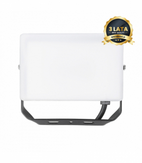 Naświetlacz LED 30W, 5000K, 3000 lm, Eko-Light EKN9015