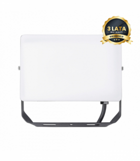 Naświetlacz LED 50W, 5000K, 5000 lm, Eko-Light EKN9016