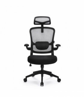 Fotel biurowy Ergo Basic, Czarny LVN Levano System LV0652