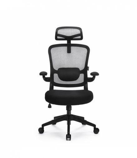Fotel biurowy Ergo Basic, Czarny LVN Levano System LV0652