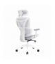 Fotel ergonomiczny Control Series Biały, LVN Levano System LV0655