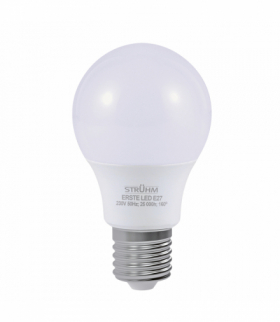 Żarówka LED, źródło światła SMD LED ERSTE LED E27 8W zimna 6600K CW biały Struhm 04511