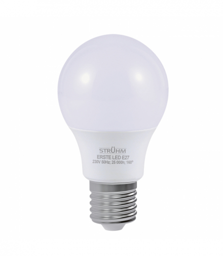 Żarówka LED, źródło światła SMD LED ERSTE LED E27 8W zimna 6600K CW biały Struhm 04511