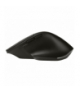 Mysz SLICK RF 2,4GHz Silent TRACER TRAMYS47420