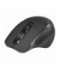 Mysz Cozy RF 2,4 GHz TRACER TRAMYS46950