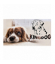 Legowisko 40 x 30 // 55 x 45 Niebieskie AIO KingDog CEN-79854