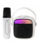 Głośnik do karaoke z mikrofonem - sd/usb/aux/bluetooth ADLER AD 1199 white
