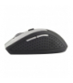 EM123S Mysz bezprzewodowa Bluetooth 6D optyczna Andromeda srebrna Esperanza ESP-EM123S