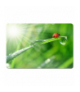 EA133 Podkładka pod mysz Esperanza ESP-EA133