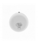MARY`S LAMPKA LED MIŚ MAŁY BIAŁY RGB+WW NB MW20783