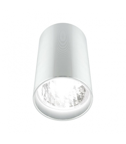 Sufitowa oprawa punktowa OTTO GU10 INOX 3221