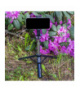 Selfie stick Bluetooth tripod Forever SST-100 czarny TFO GSM182155
