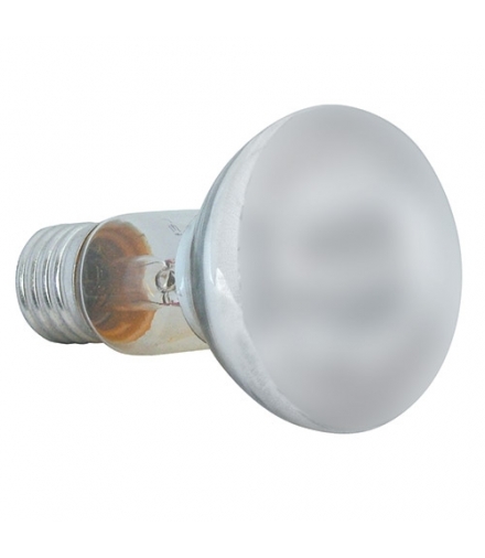Żarówka reflektorowa R63 60W FROSTED IDEUS 01809