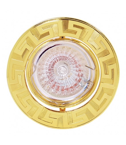 Sufitowa oprawa punktowa BEGONYA HL779 GOLDEN IDEUS 01313